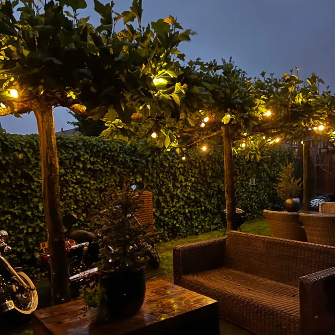 Olucia - 30m Sfeerlicht - 60 Lampenhouders