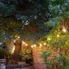 Olucia - 30m Sfeerlicht - 60 Witte Lampjes