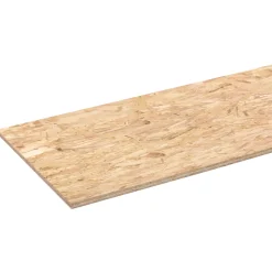 Overig OSB paneel - 18mm - 244x59cm