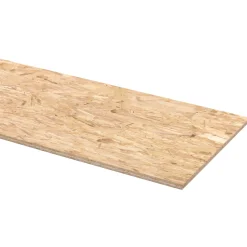 Overig OSB paneel - 18mm - 244x59cm