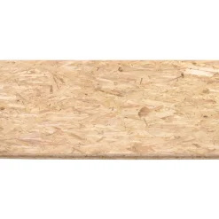 Overig OSB paneel - 18mm - 244x59cm
