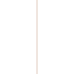Overig OSB-plaat 61x244cm 9mm