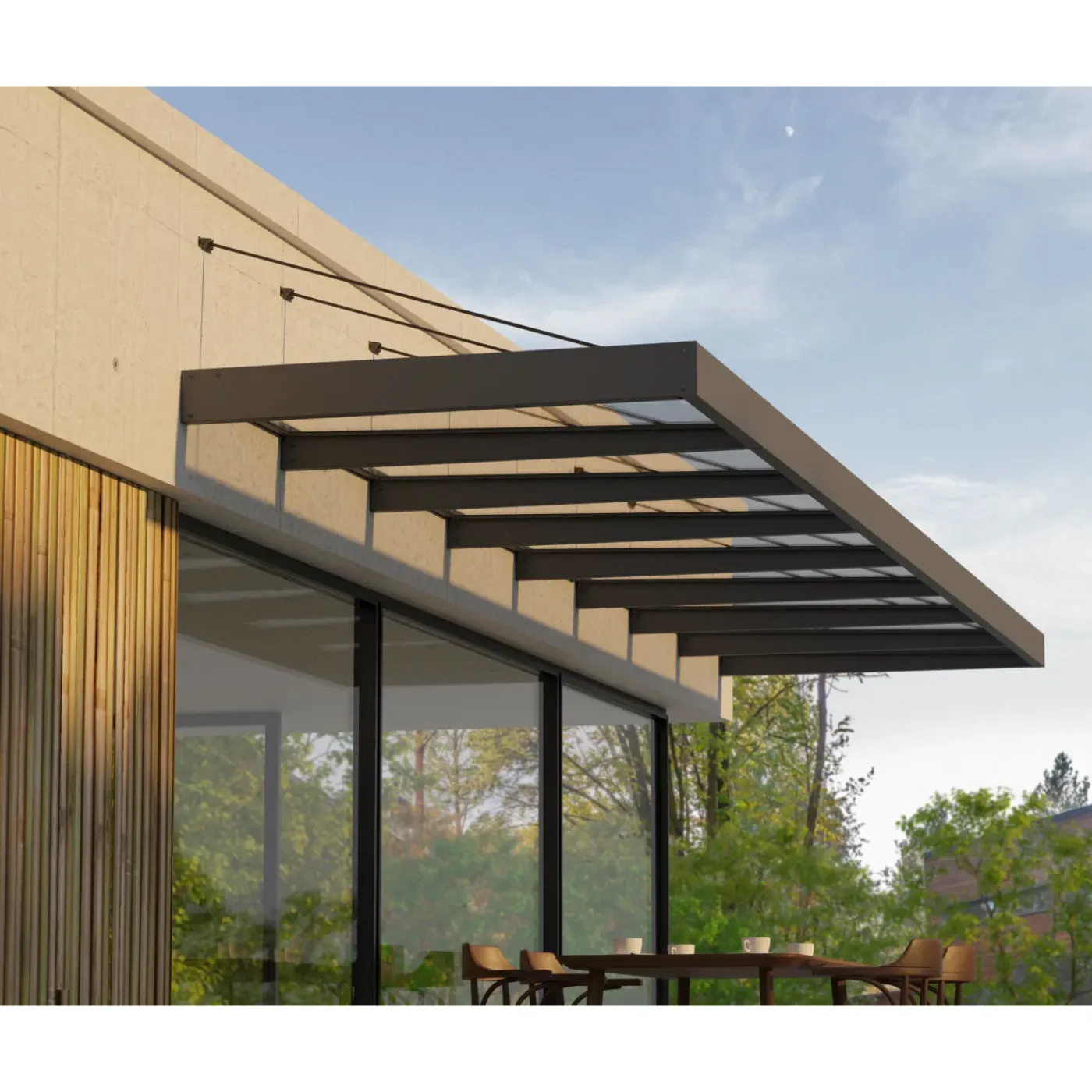 Canopia Palram | - Deur en Veranda Luifel Sophia XL - Grijs - 750x140cm