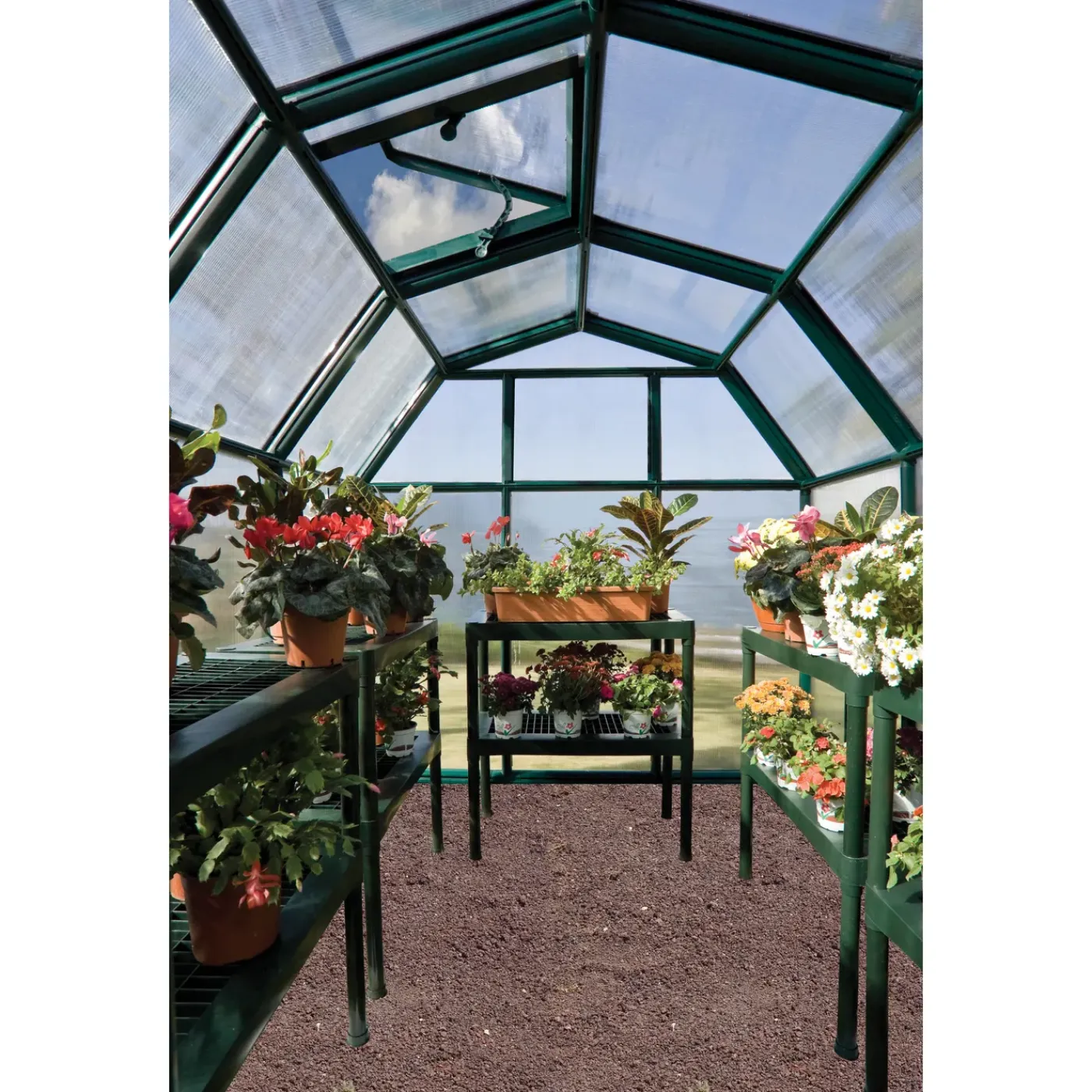 Canopia Palram- kweektafel groen 80x40x85cm
