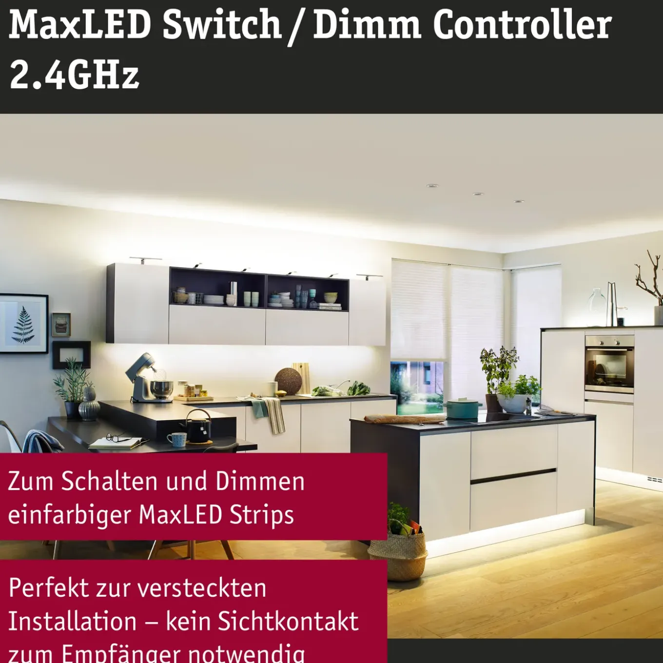 Paulmann afstandsbediening MaxLED dimmer switch max 144W