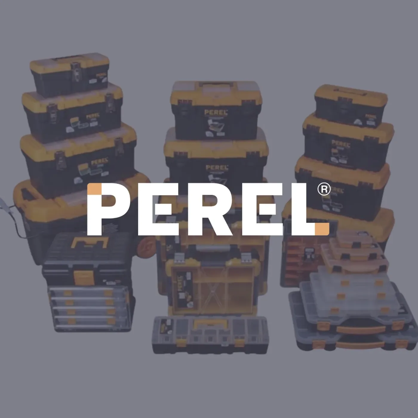 Perel Assortimentsdoos Leeg, Organizer, Sorteerdoos Voor Schroeven, 420 Mm X 305 Mm X 61 Mm