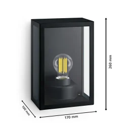 Philips Buitenwandlamp Alzor - Zwart - E27
