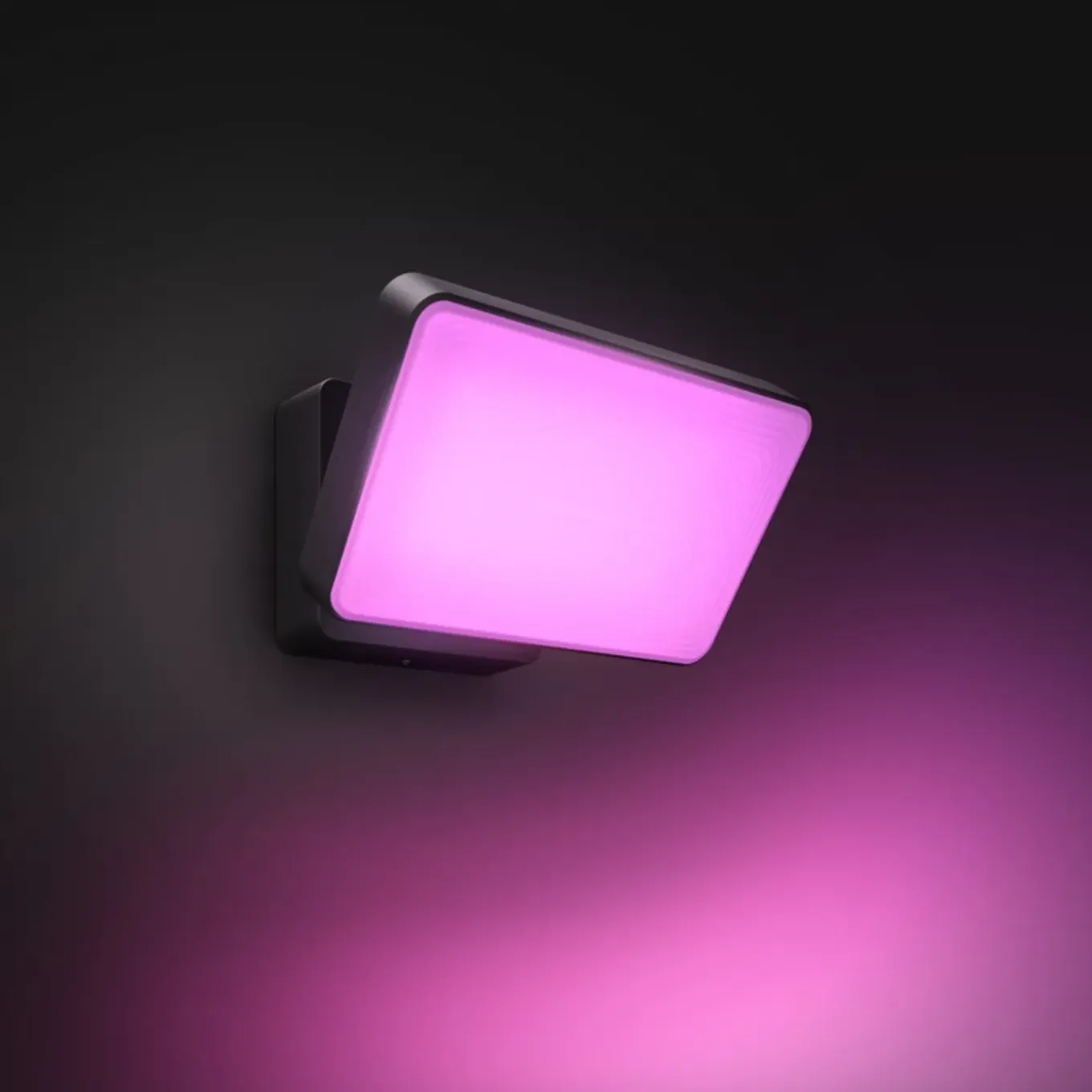 Philips Hue Discover Set Van 2 Verstralers (zwart) - Incl. Bewegingssensor Voor Buiten
