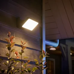 Philips Hue Discover verstraler - wit en gekleurd licht - zwart