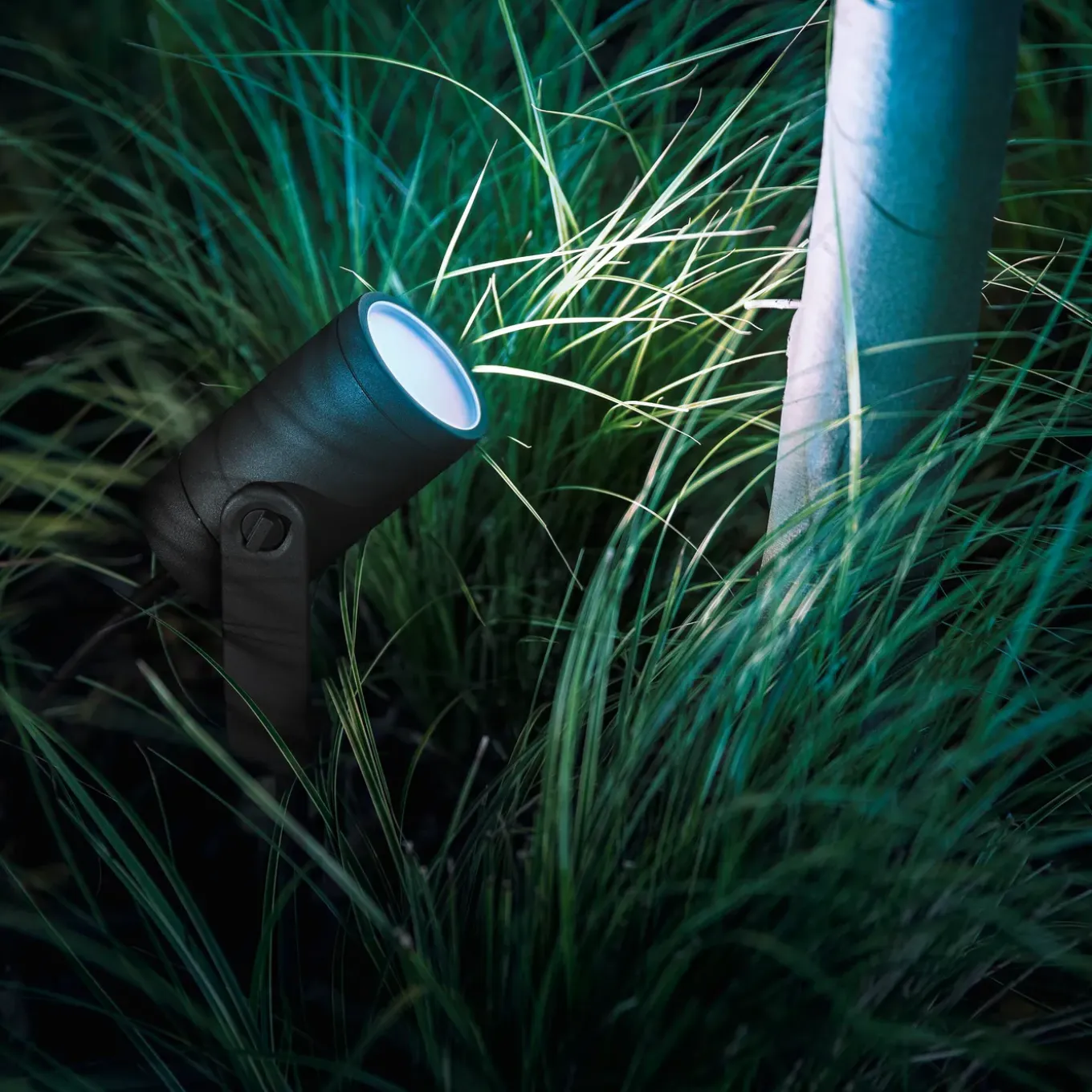 Philips Hue Lily tuinspot - wit en gekleurd licht - 1-spot - zwart - LowVolt - basis