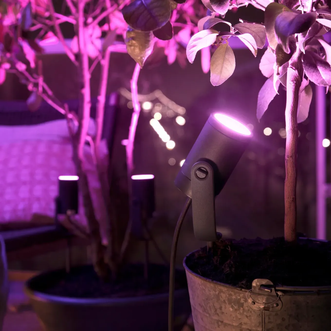 Philips Hue Lily tuinspot - wit en gekleurd licht - 1-spot - zwart - LowVolt - basis