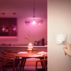 Philips Hue Slimme Draadloze Dimmer