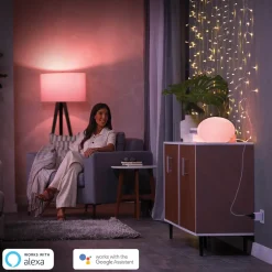 Philips Hue slimme stekker