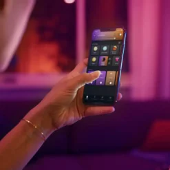 Philips Hue tafellamp Iris zwart 8,1W