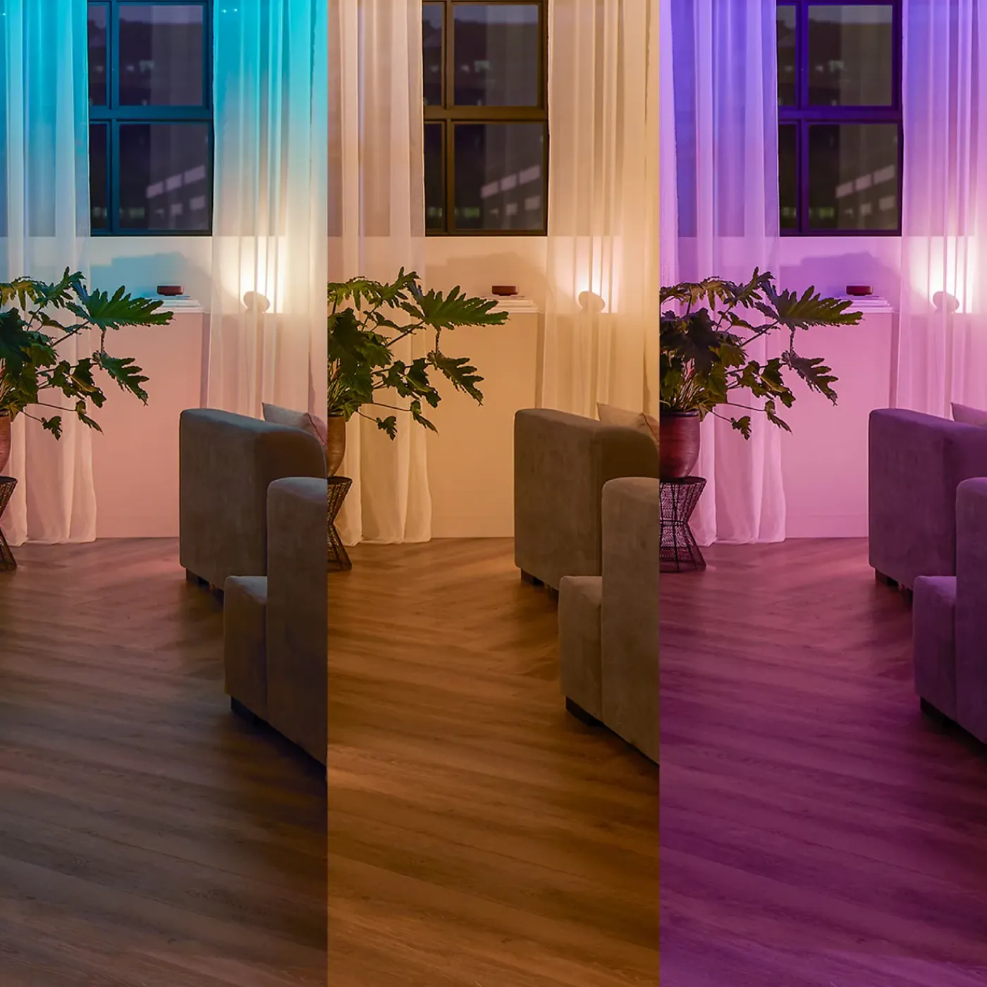 Philips Hue wandschakelaarmodule