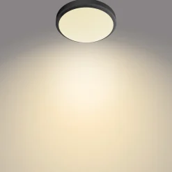 Philips plafondlamp Doris zwart ø22cm 6W
