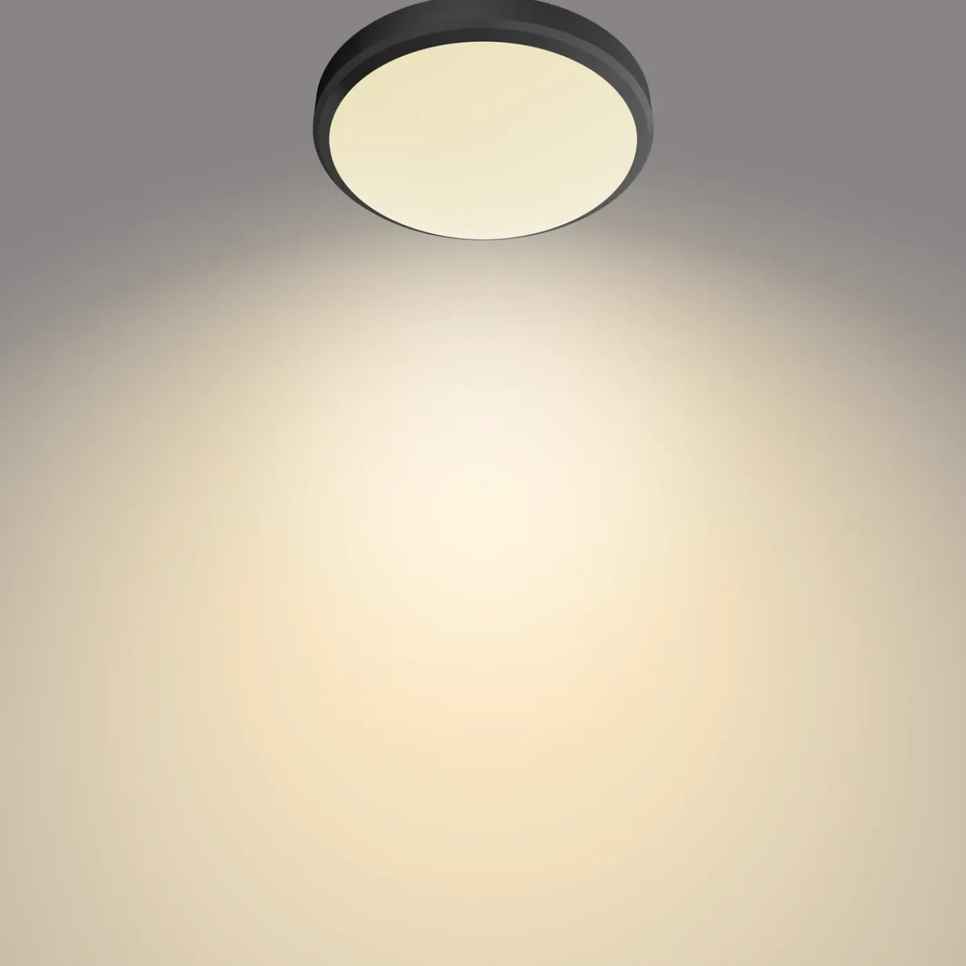 Philips plafondlamp Doris zwart ø22cm 6W