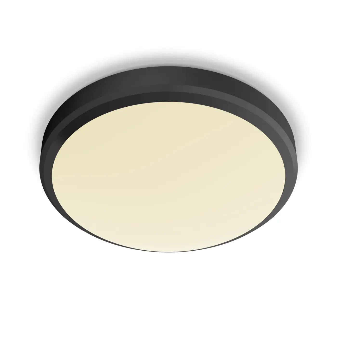Philips plafondlamp Doris zwart ø22cm 6W