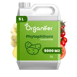 Phytophthora Concentraat - 5 L Voor 5000 M2 - Organifer