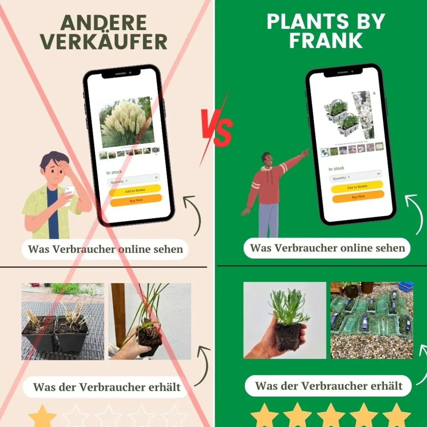 Plants By Frank - 12x Lavendel Planten - Tuinplanten - Lilablauw - Pot 7 Cm