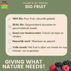 Plants by Frank - 6x Vaccinium Corymbosum Bio - Bosbes - Fruitplanten - Pot 13 Cm