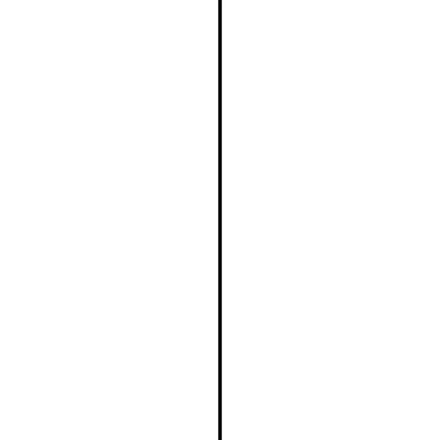 Overig Plat profiel - PVC zwart - 30x2mm 2,6m