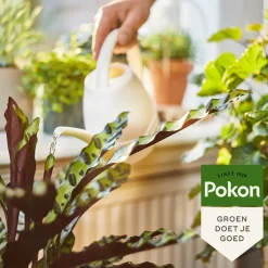 Pokon Bio Kamerplanten Voeding - 1000ml
