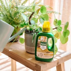 Pokon Bio Kamerplanten Voeding - 500ml