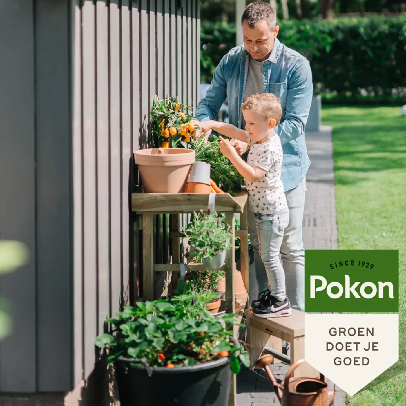 Pokon Bio Moestuin Voeding - 500 Ml