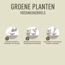 Pokon Groene Planten Voedingskorrels - 800gr