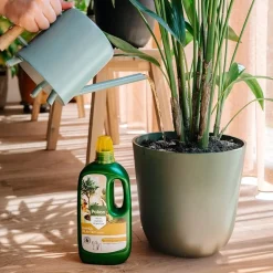 Pokon Kamerplanten Voeding - 1l