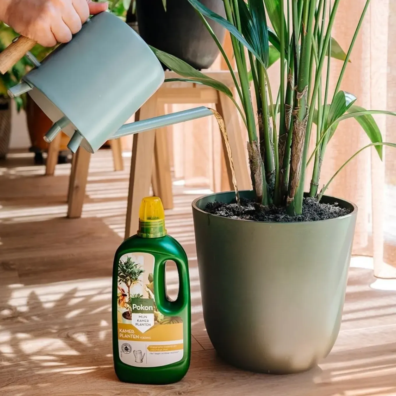 Pokon Kamerplanten Voeding - 1l