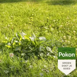 Pokon Onkruid Weg Gebruiksklaar - 1 Stuk voor 80m²