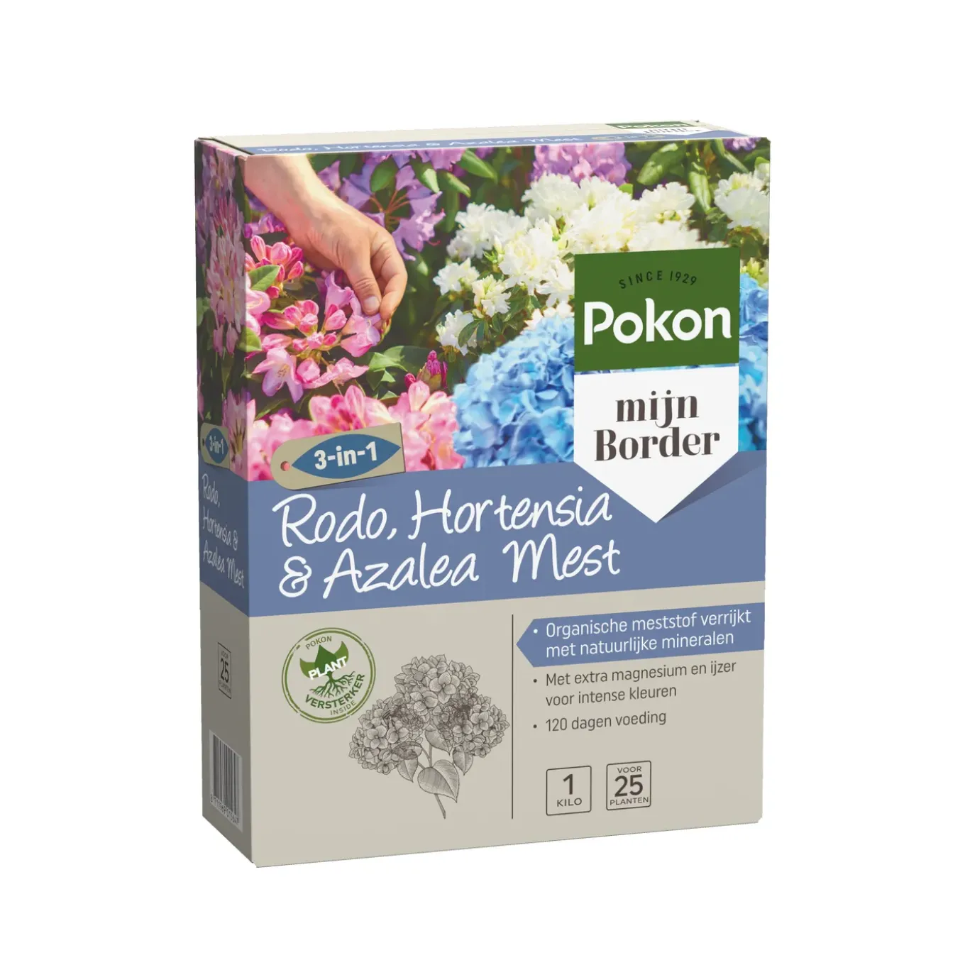 Pokon Rhododendron, Hortensia & Azalea Mest - 1kg