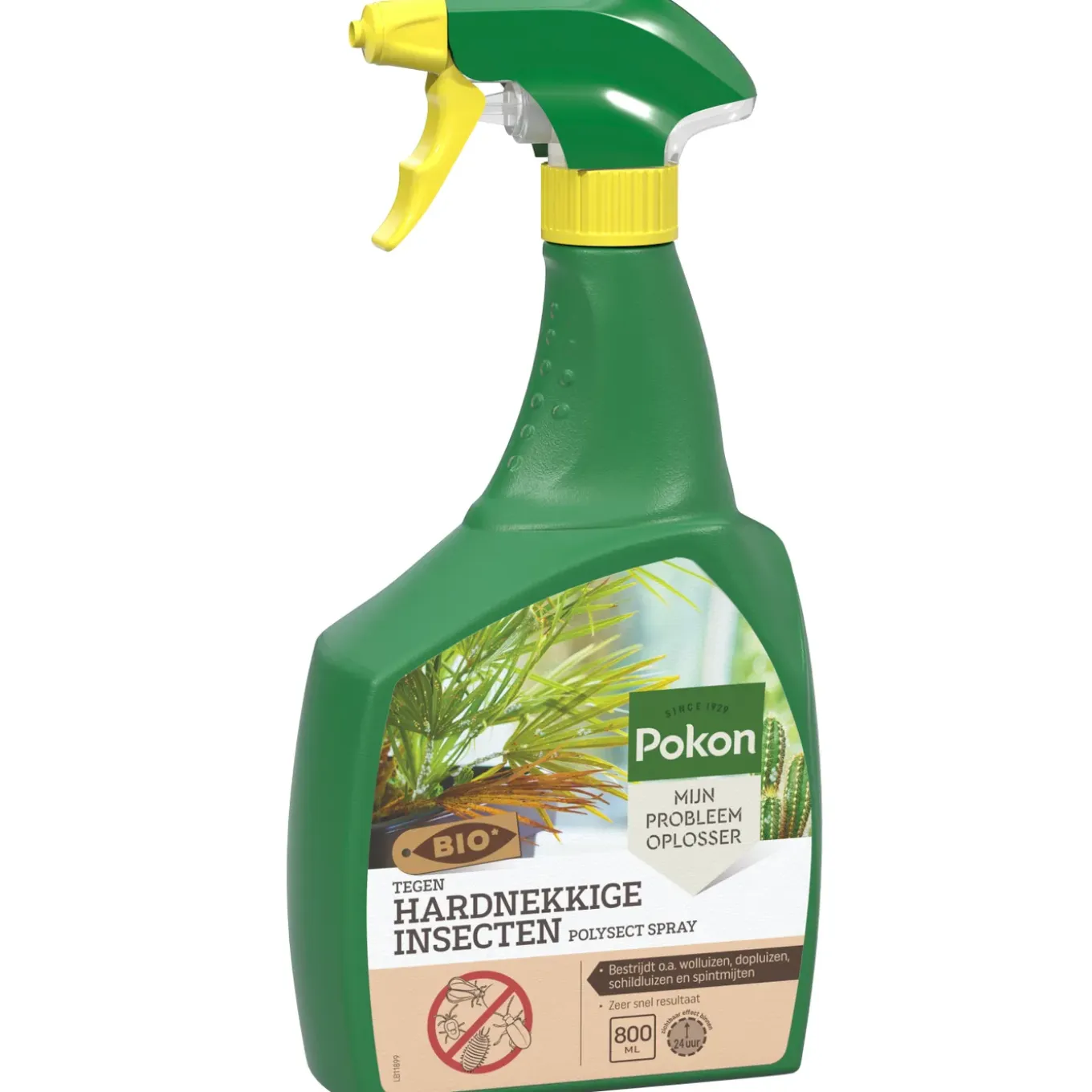 Pokon Tegen Insecten Spray - 1 Stuk