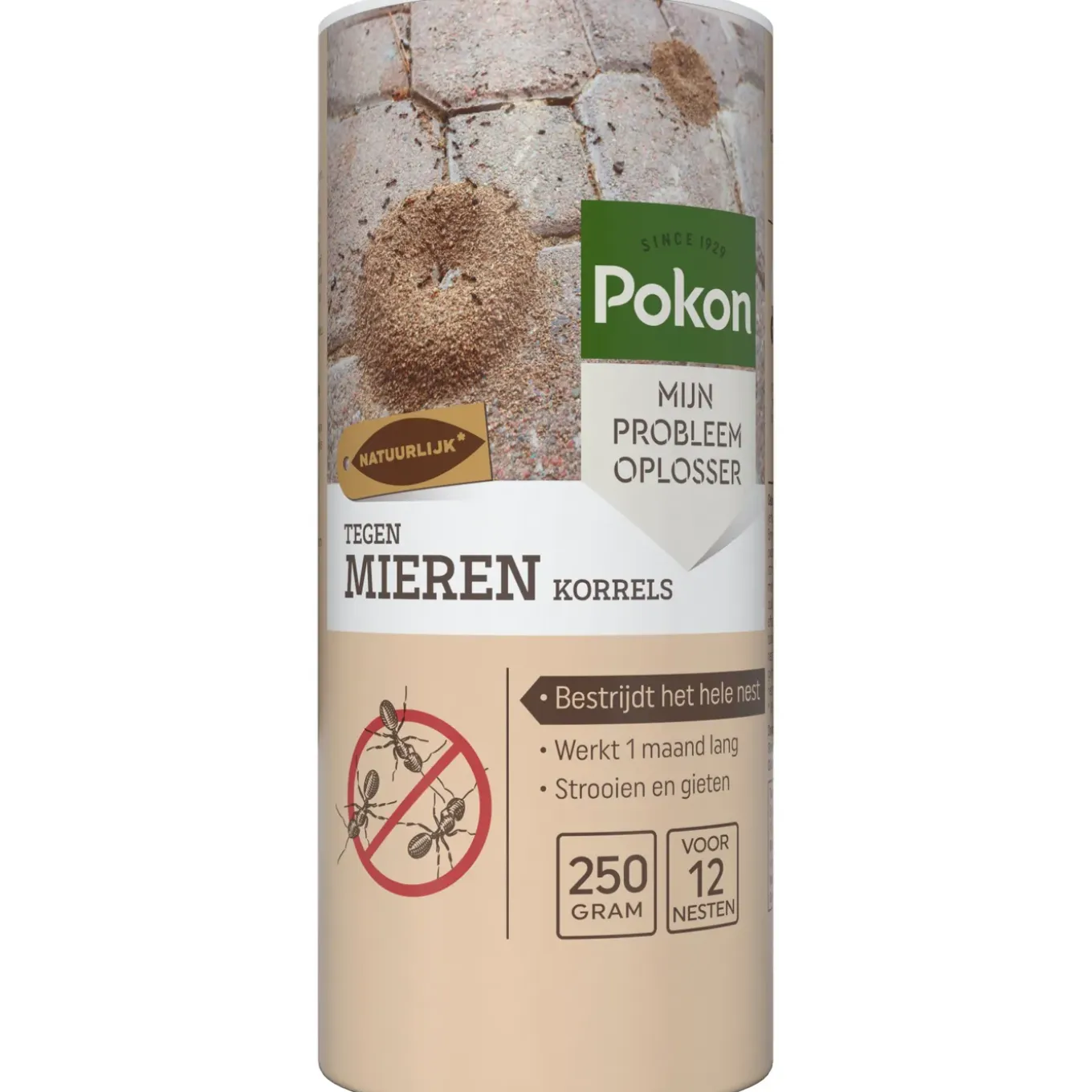 Pokon Tegen Mieren Korrels - 1 Stuk