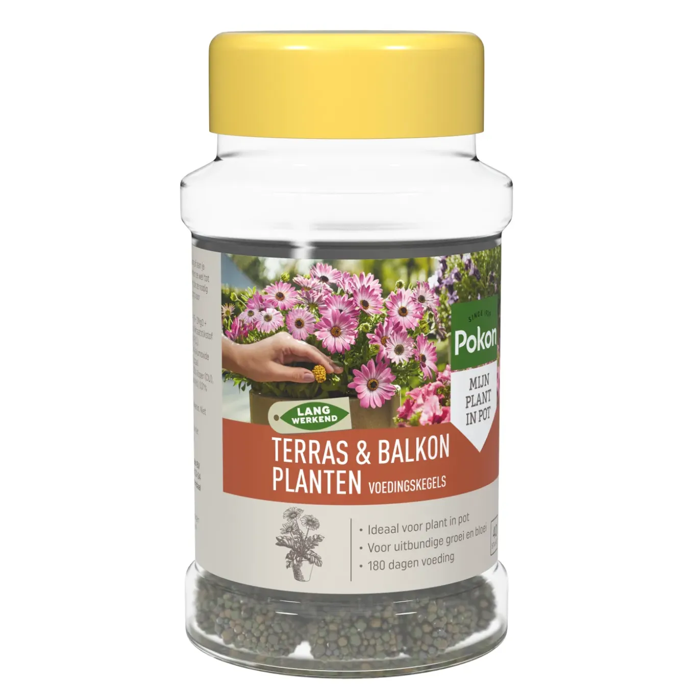 Pokon terras & balkon voedingskegels 40 stuks