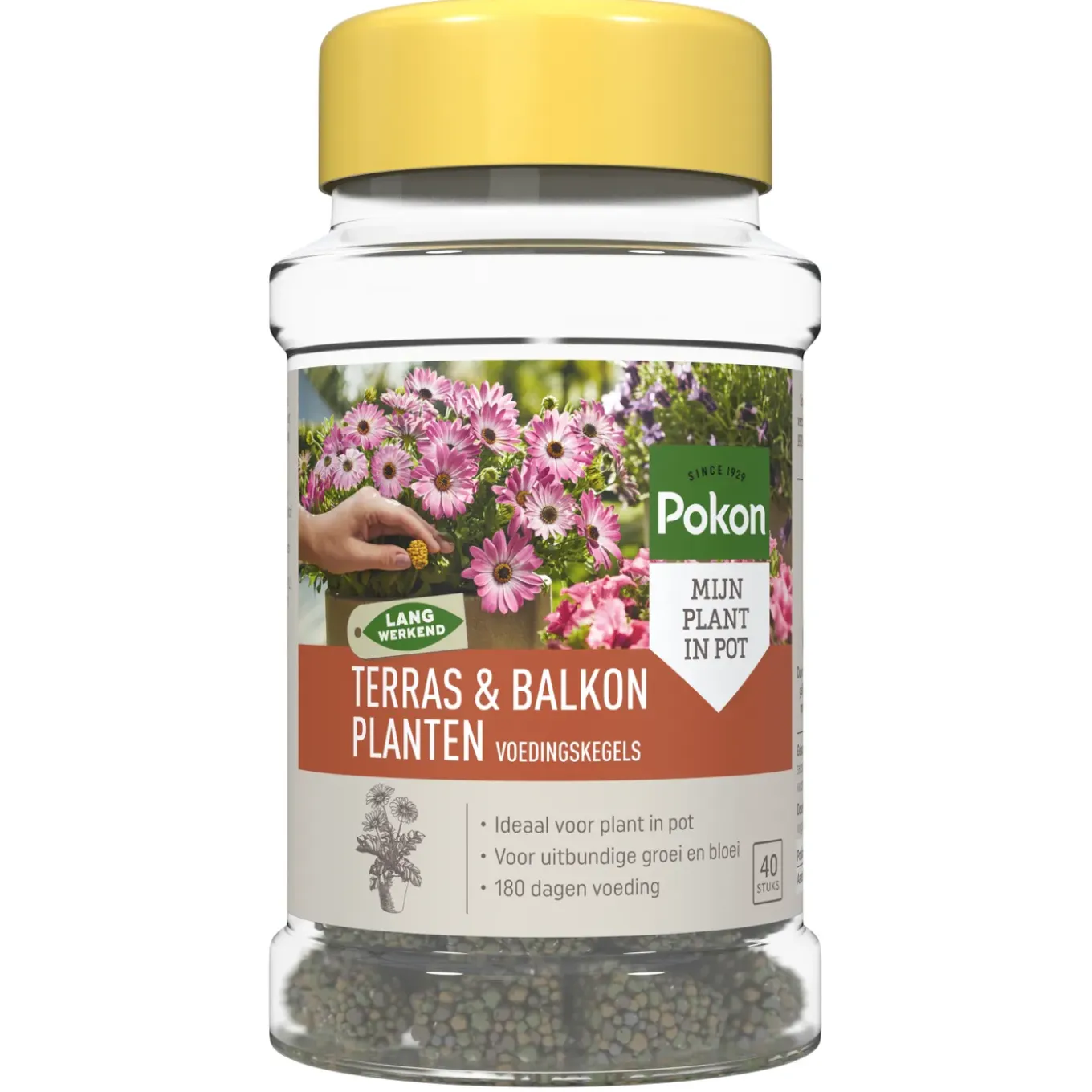 Pokon terras & balkon voedingskegels 40 stuks