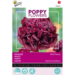 Poppy Flowers Papaver Black Paeony