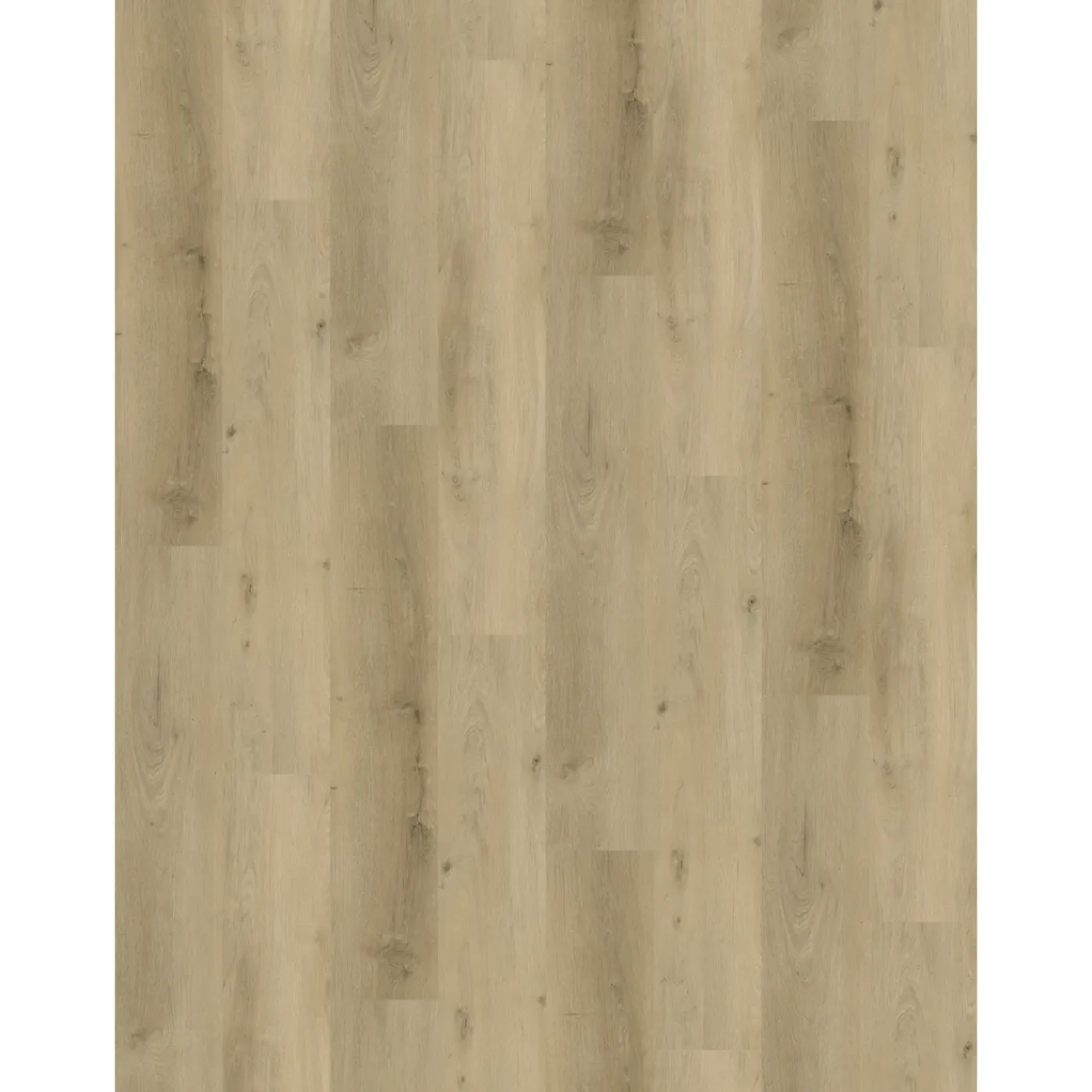 Overig PVC Vloer Nova Oak Greige - 4-zijdige Micro V-groef - Waterproof - 4+1mm - 2,235m²