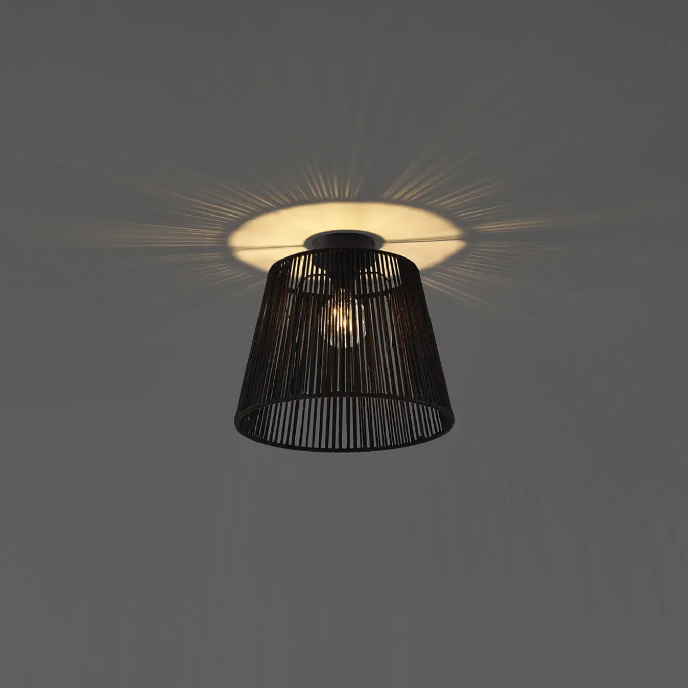 Qazqa Japandi Buiten Plafondlamp Met Zwart Touw Ip54 - Jayla