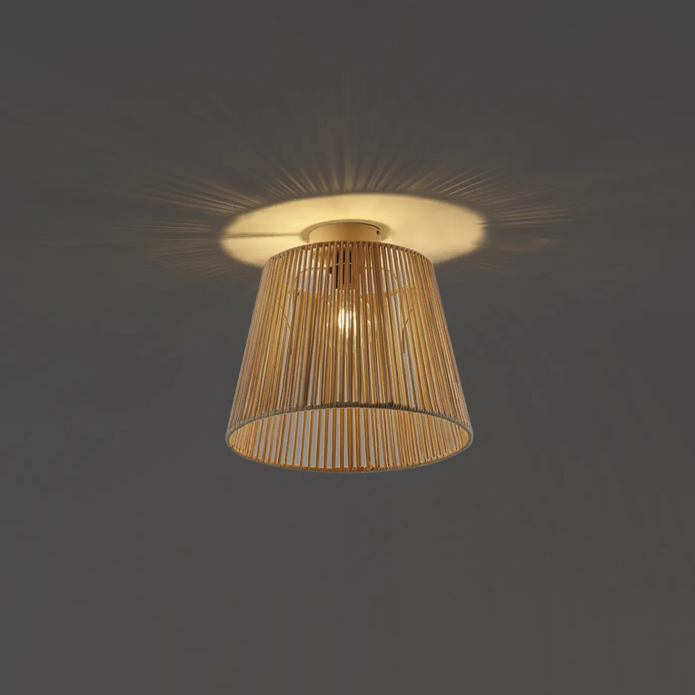 QAZQA Japandi Buiten Plafondlamp Met Beige Touw Ip54 - Jayla