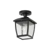 QAZQA Klassieke Plafondlamp Zwart Ip44 - Leuven