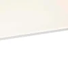 QAZQA Led Paneel Staal 120 Cm Incl. Led Met Afstandsbediening - Liv