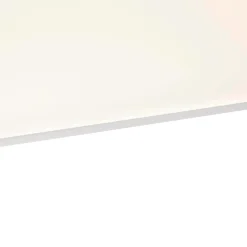 QAZQA Led Paneel Staal 120 Cm Incl. Led Met Afstandsbediening - Liv