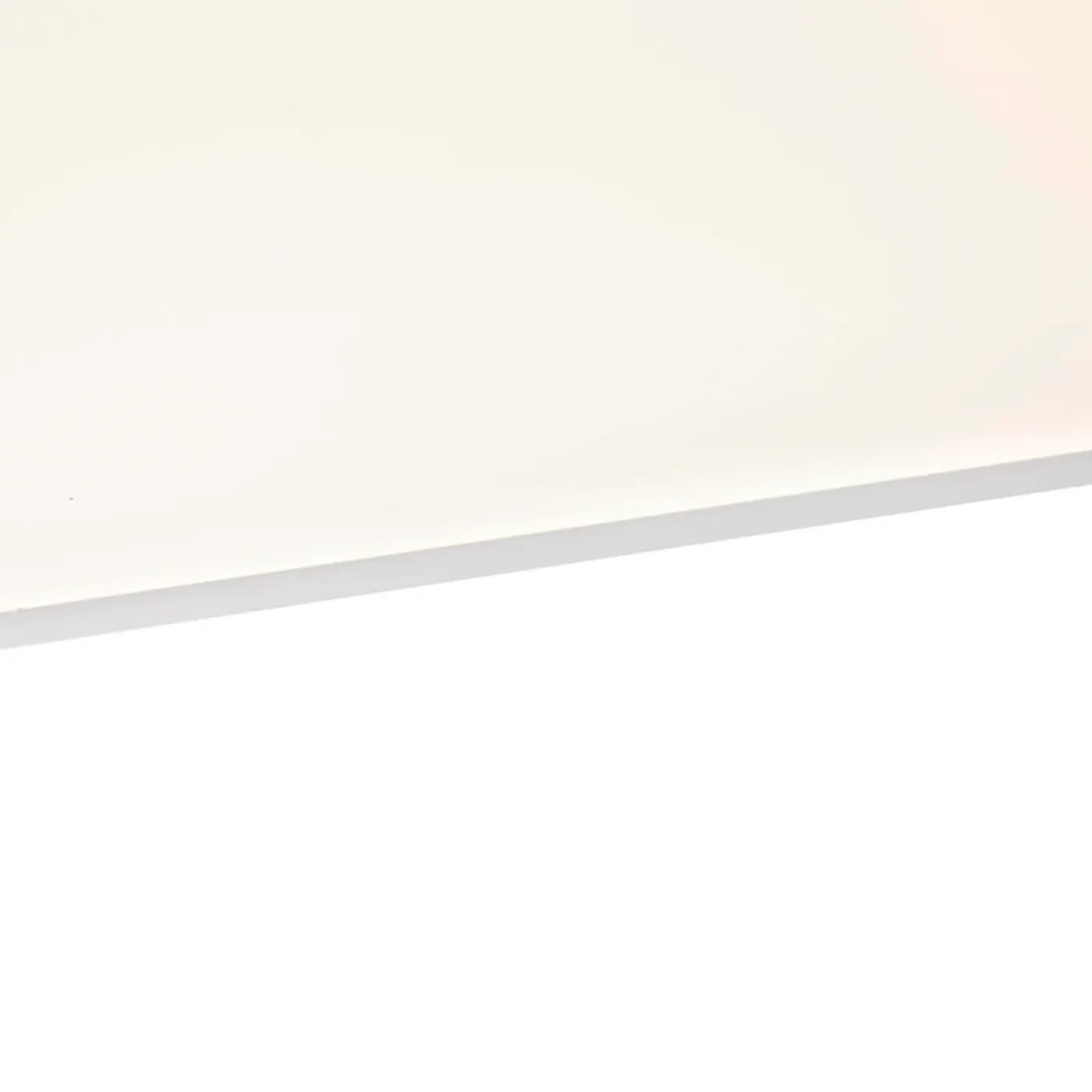 QAZQA Led Paneel Staal 120 Cm Incl. Led Met Afstandsbediening - Liv