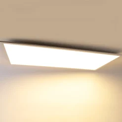 QAZQA Led Paneel Staal 120 Cm Incl. Led Met Afstandsbediening - Liv
