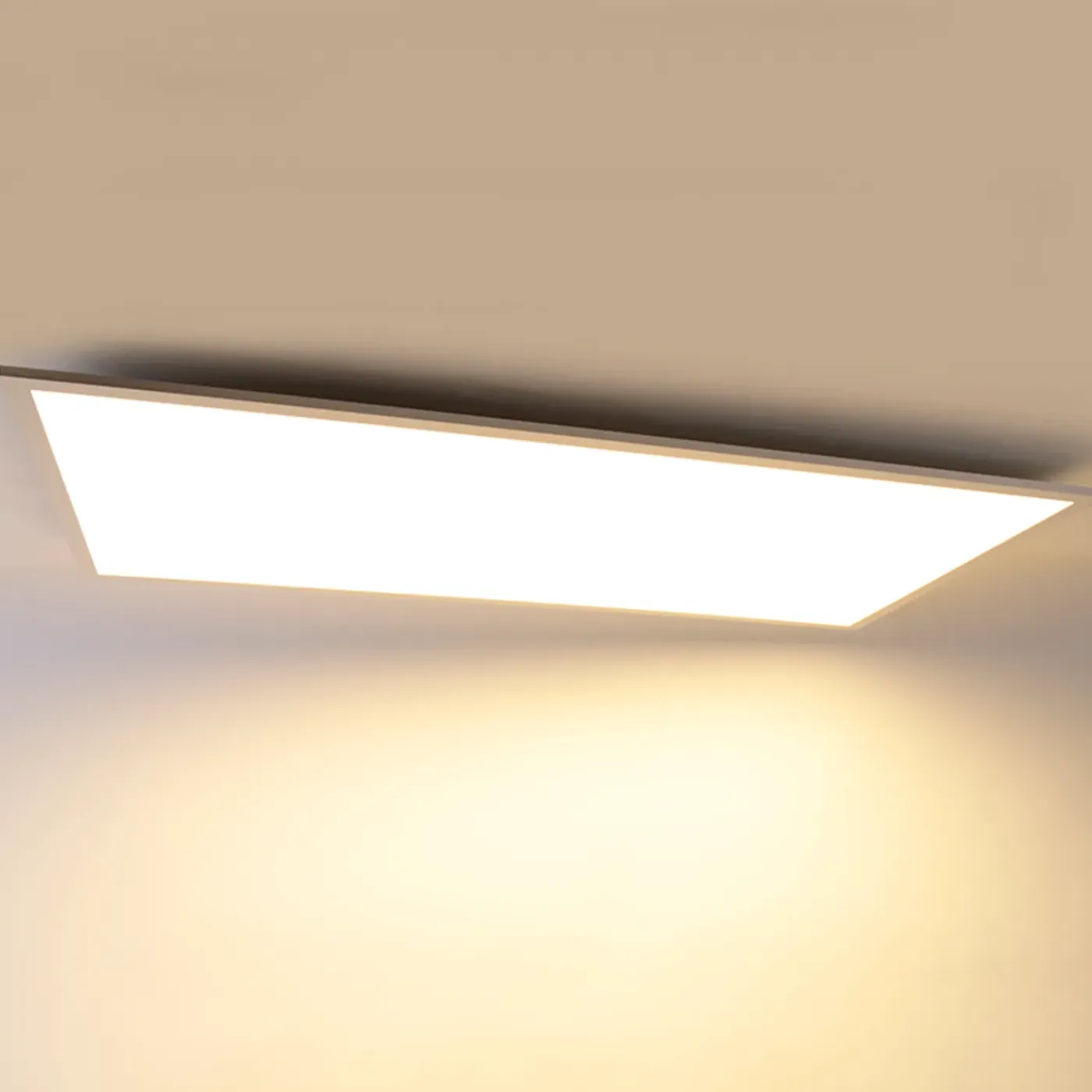 QAZQA Led Paneel Staal 120 Cm Incl. Led Met Afstandsbediening - Liv
