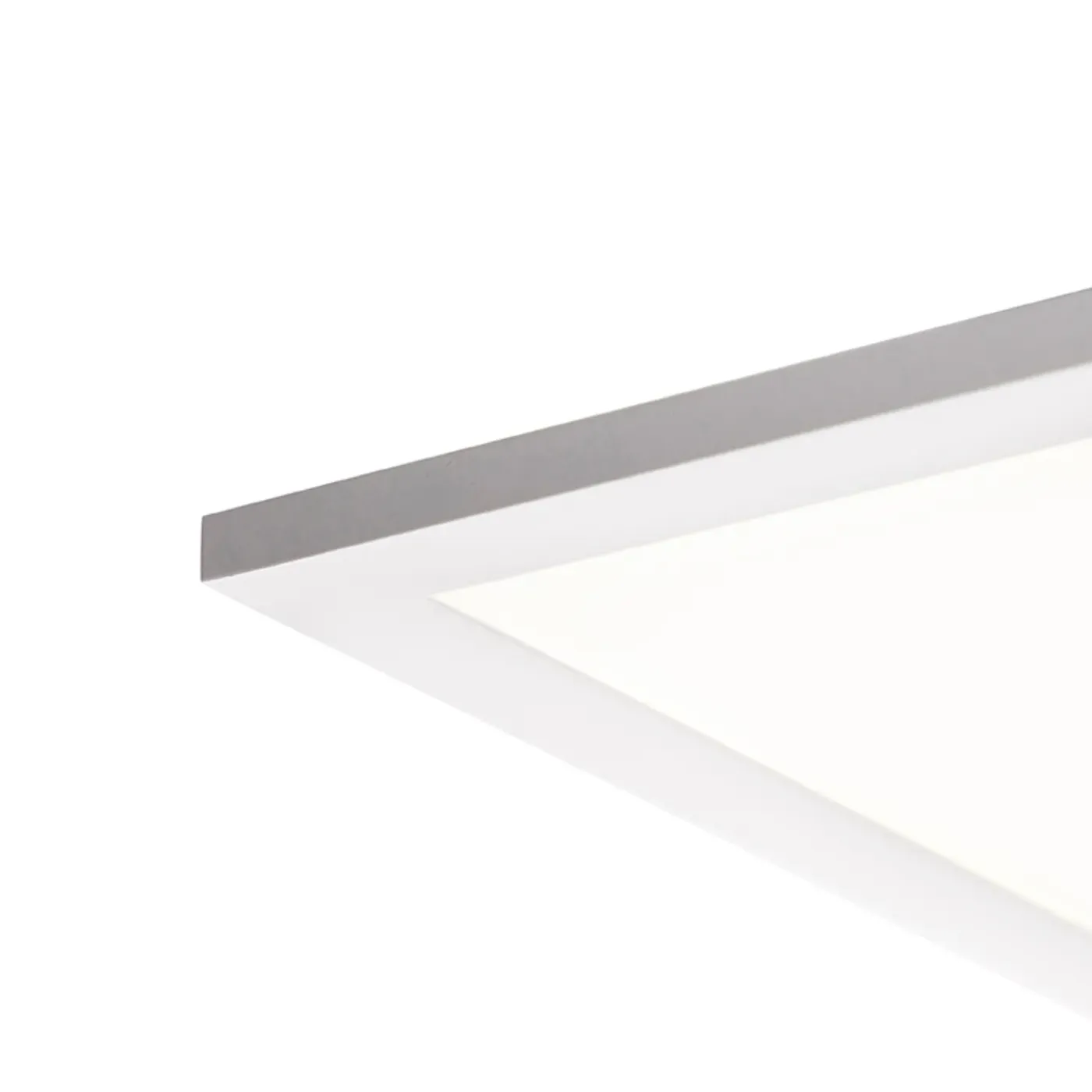 QAZQA Led Paneel Staal 120 Cm Incl. Led Met Afstandsbediening - Liv