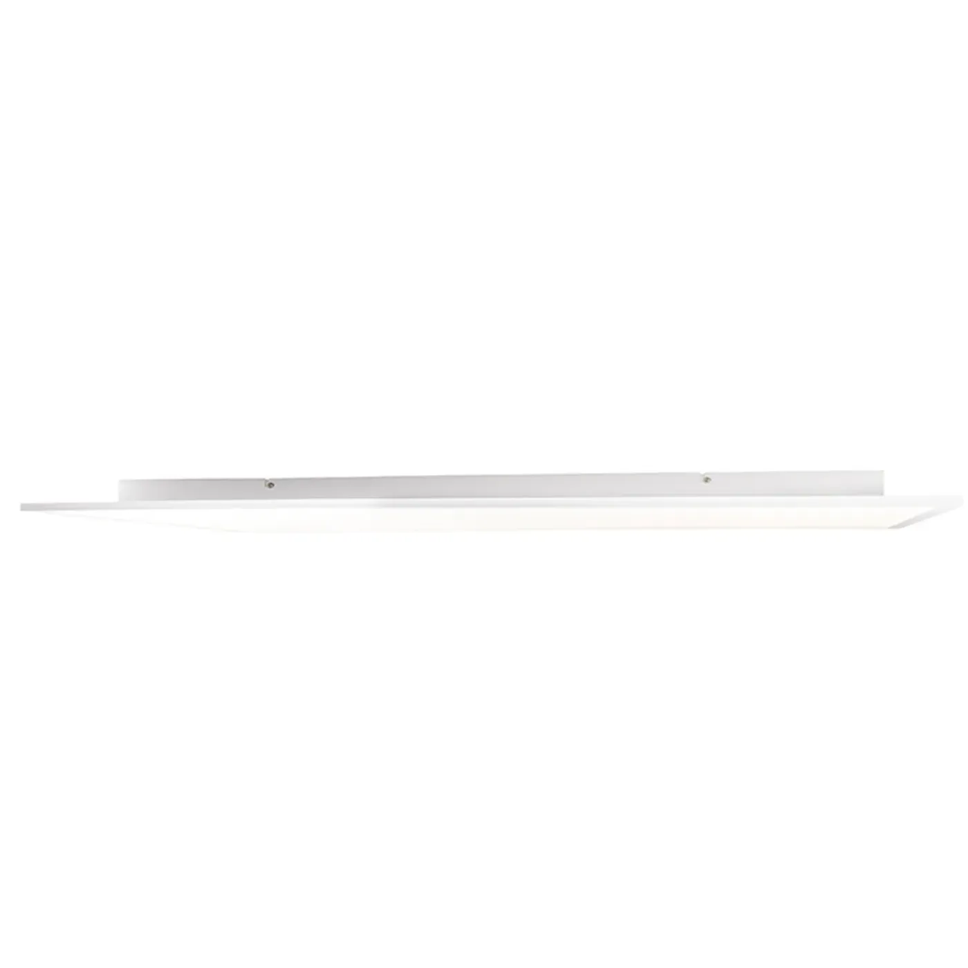 QAZQA Led Paneel Staal 120 Cm Incl. Led Met Afstandsbediening - Liv